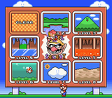 Mario & Wario Controller Hack