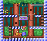 Mario & Wario Controller Hack