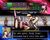 Super Wrestle Angels English Patched  Rare Gem SNES USA Version Cartridge