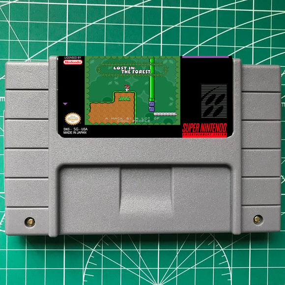 Lost in the Forest-SNES Video Game US/Version