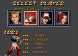 SOR2-The King Of Fighters Terry  GENESIS MEGADRIVE US/VERSION