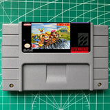 Donkey Kong Country 3: Tag Team Trouble  Snes Video Game